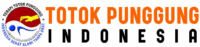 logottpi