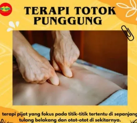 whatsapp-image-2025-12-24-at-110830-694dd8d8b1312 whatsapp-image-2025-12-24-at-110830-694dd8d8b1312